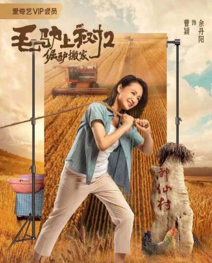 完结高清影视